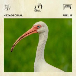 Feel It album cover