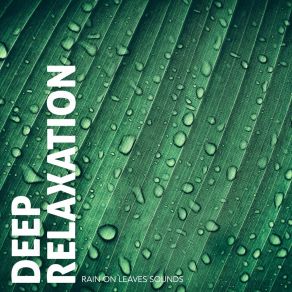 Deep Relaxation: Rain On Leaves Sounds album cover
