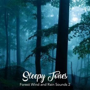 Sleepy Tones: Forest Wind And Rain Sounds 2 album cover