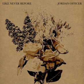 Like Never Before album cover