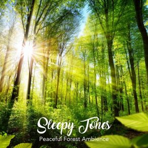Sleepy Tones: Peaceful Forest Ambience album cover