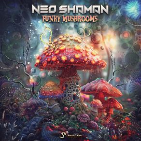 Funky Mushrooms (Maxi-Single) album cover