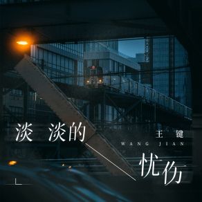 淡淡的忧伤 album cover