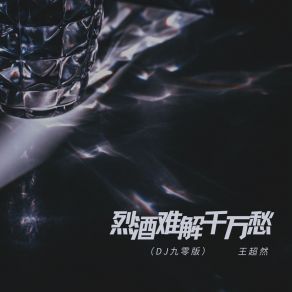 烈酒难解千万愁 (DJ九零版) album cover