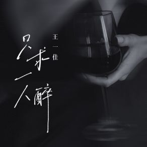 只求一人醉 (DJ九零版) album cover