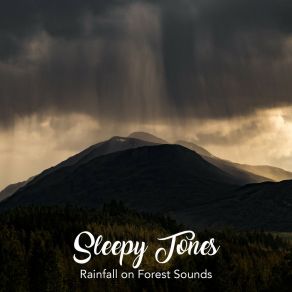 Sleepy Tones: Rainfall On Forest Sounds 2 album cover