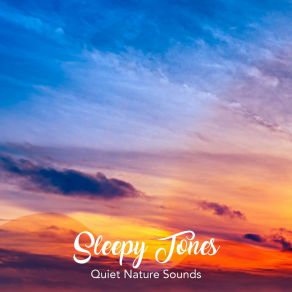 Sleepy Tones: Quiet Nature Sounds album cover