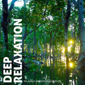 Deep Relaxation: Relaxing Birdsong Ambience album cover
