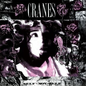 Collected Works Vol. 1 (CD1) album cover