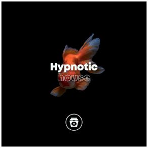 Hypnotic House album cover