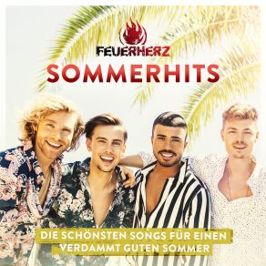 Die Schonsten Songs Fur Einen Verdammt Guten Sommer album cover