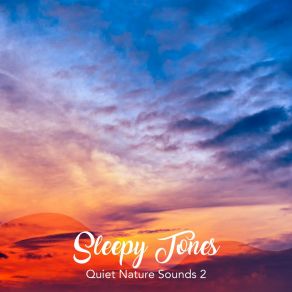 Sleepy Tones: Quiet Nature Sounds 2 album cover