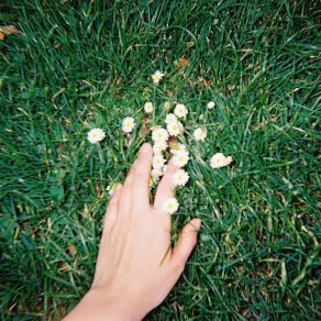 Could You Not Go? album cover