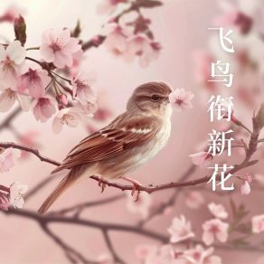 飞鸟衔新花 album cover