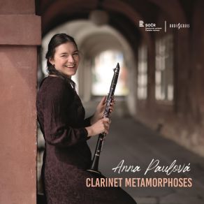 Clarinet Metamorphoses album cover