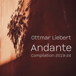 Andante album cover