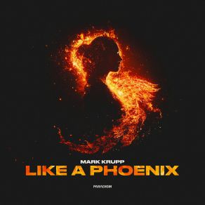 Like A Phoenix album cover