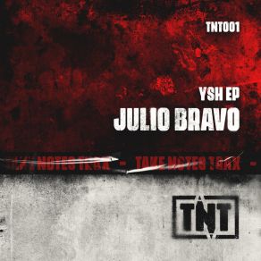 YSH album cover