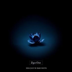 2024 July 01 Rmx Instr album cover