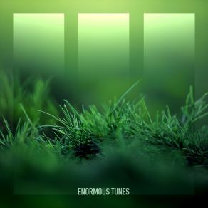 Impressum album cover
