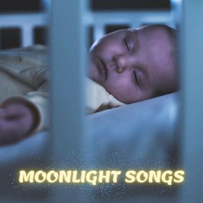 Moonlight Songs: Comforting Lullabies album cover