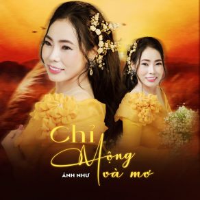 Chỉ Mộng Và Mơ album cover