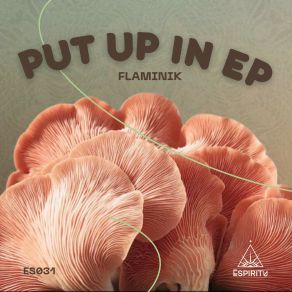 Put Up In album cover