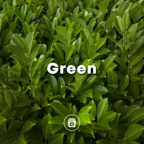 Green album cover