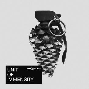Unit Of Immensity (Maxi-Single) album cover