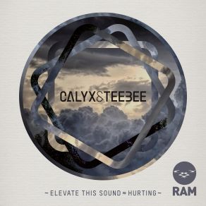 Elevate This Sound - Hurting album cover