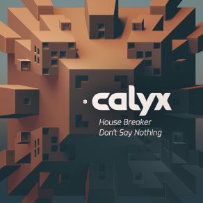 House Breaker - Don't Say Nothing (Maxi-Single) album cover