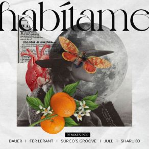 Habítame Remixes album cover