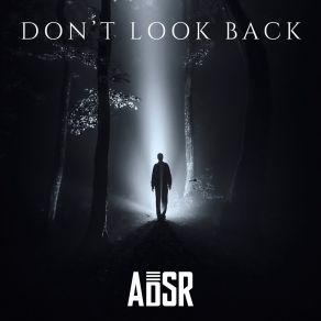 Don't Look Back album cover