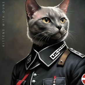 Mein Furer album cover