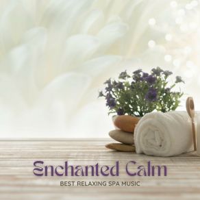 Enchanted Calm: Relaxing Massage Instrumentals album cover