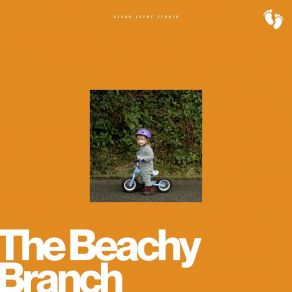 The Beachy Branch album cover