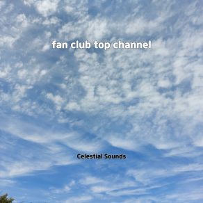 Fan Club Top Channel album cover