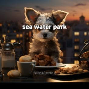 Sea Water Park album cover
