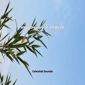 Improve Your English album cover