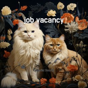 Job Vacancy album cover