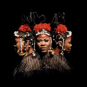 Sankofa album cover