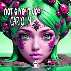 Not Give It Up album cover