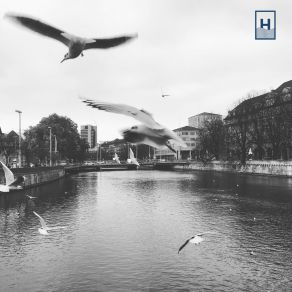 III album cover