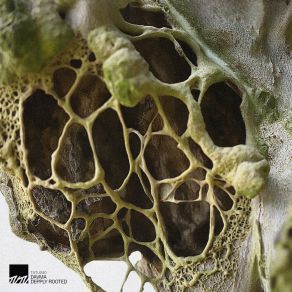 Depply Rooted (Original Mix) album cover