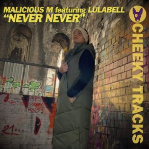 Never Never album cover