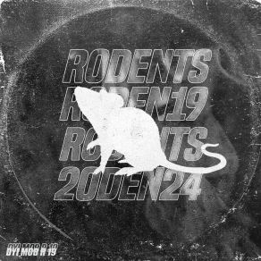 R 19 album cover