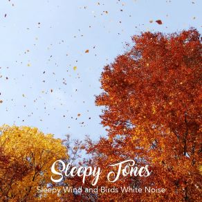 Sleepy Tones: Sleepy Wind And Birds White Noise album cover