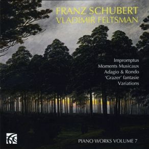 Schubert - Piano Works Volume 7 - Vladimir Feltsman album cover