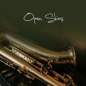 Open Skies album cover