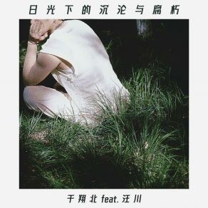 日光下的沉沦与腐朽（Shadows Under The Sun） album cover
